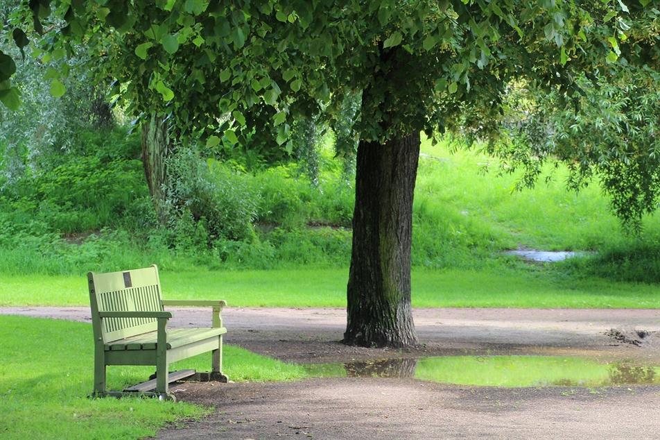 park